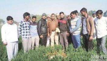 画面滑稽!村民合影排泄物 “陨石”秒变“陨屎”连飞机都随地大小便