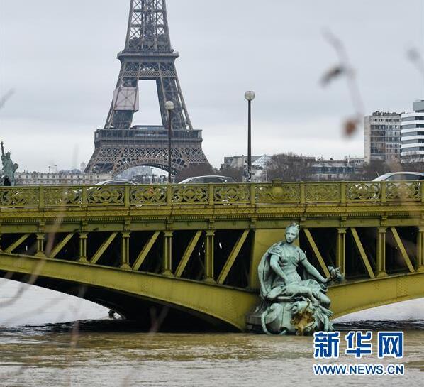 欢乐!法国洪水橙色预警 鸭子跑到塞纳河边草坪上觅食人们涉水出行