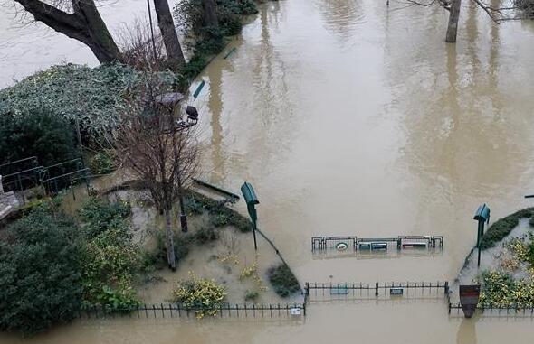 欢乐!法国洪水橙色预警 鸭子跑到塞纳河边草坪上觅食人们涉水出行