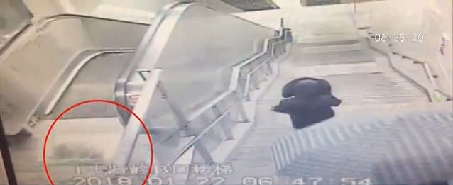 脑洞大开!哈士奇怂恿萨摩耶乘地铁出走 