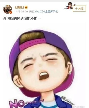 鹿晗曼联官博留言：终于下树了曼联最棒! 鹿晗近照【图】