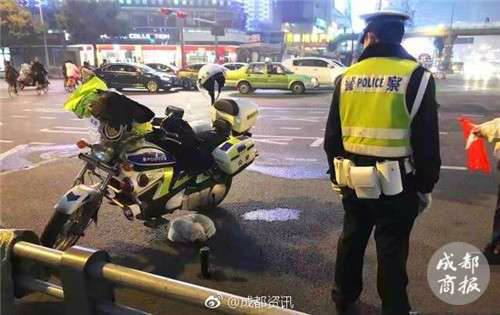 流浪小狗求助辅警