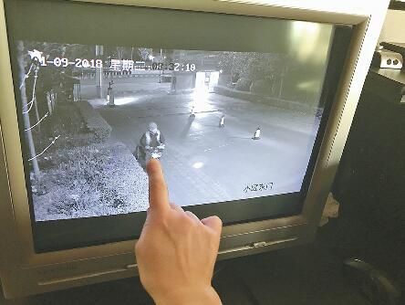 可疑男子半夜诱捕流浪猫 居民担心他把猫卖给不法商贩