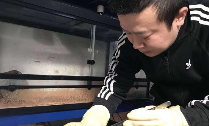 男子十年花近百万养蛙 朋友疑惑：这是被青蛙鬼迷了心窍？