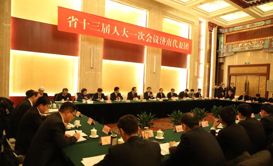 济南团审议省政府工作报告 王文涛温孚江出席并发言