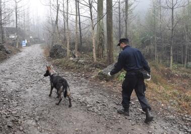焦急万分!川大一副教授失联 独自驾车都江堰搜救三日毫无音讯