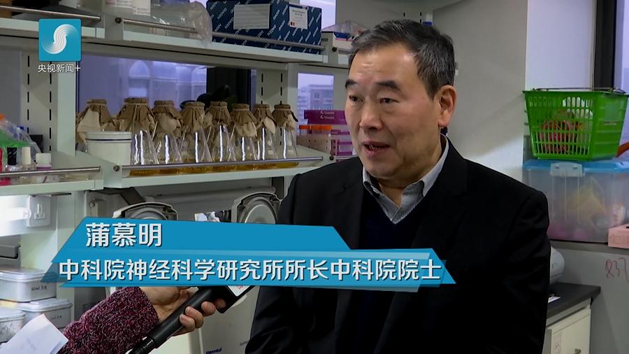 世界首例体细胞克隆猴在中国诞生！对研究人类脑疾病有重大意义