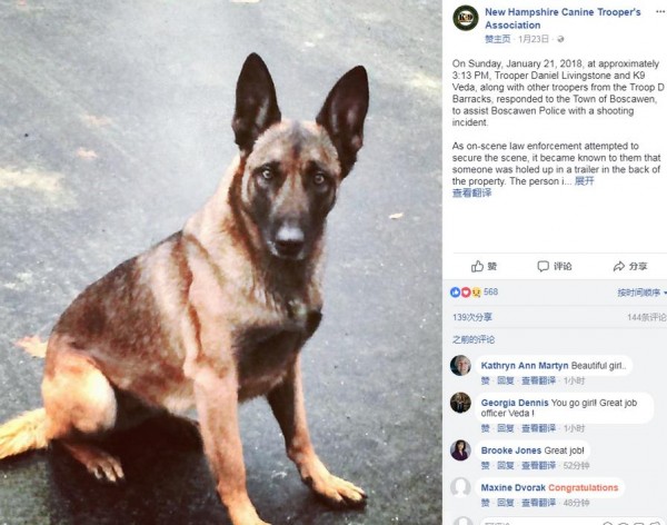 人咬狗！男子拒捕咬警犬头  