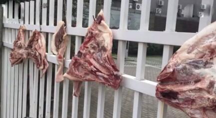 “儿媳爱吃，50个监控在谁敢偷！”在小区挂腌猪头的可爱小老太要火