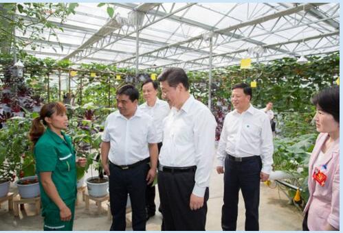 初心勾线,匠心施彩:习近平描绘幸福民生画卷