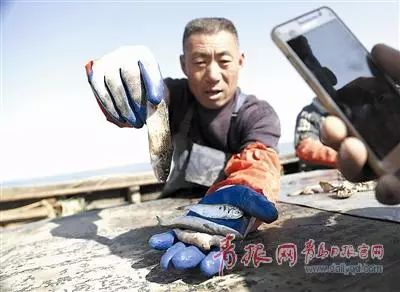 每月卖1500公斤海鲜!青岛大叔边开直播边打鱼