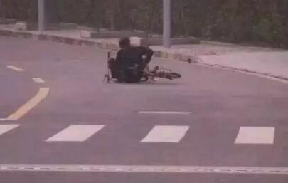 铲屎官注意了，别骑着自行车溜哈士奇！当心狗狗蹿出去跑没影了