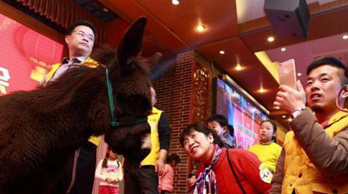 小伙年会上抽中了最大奖，但看到苹果7的图片后，真是苦笑不得