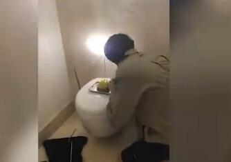 发现了家中马桶“闹鬼”的秘密,“真凶”抓住多亏当地的捕蛇人