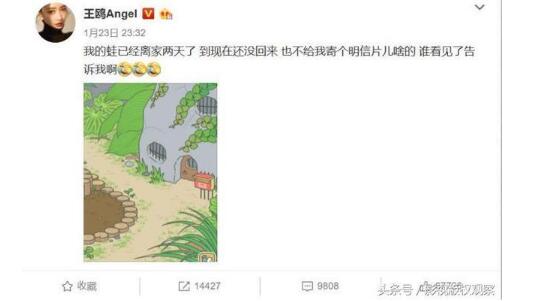 明星们变身蛙爸蛙妈，为蛙儿子操碎了心，谢楠的蛙儿子没见面就丢了