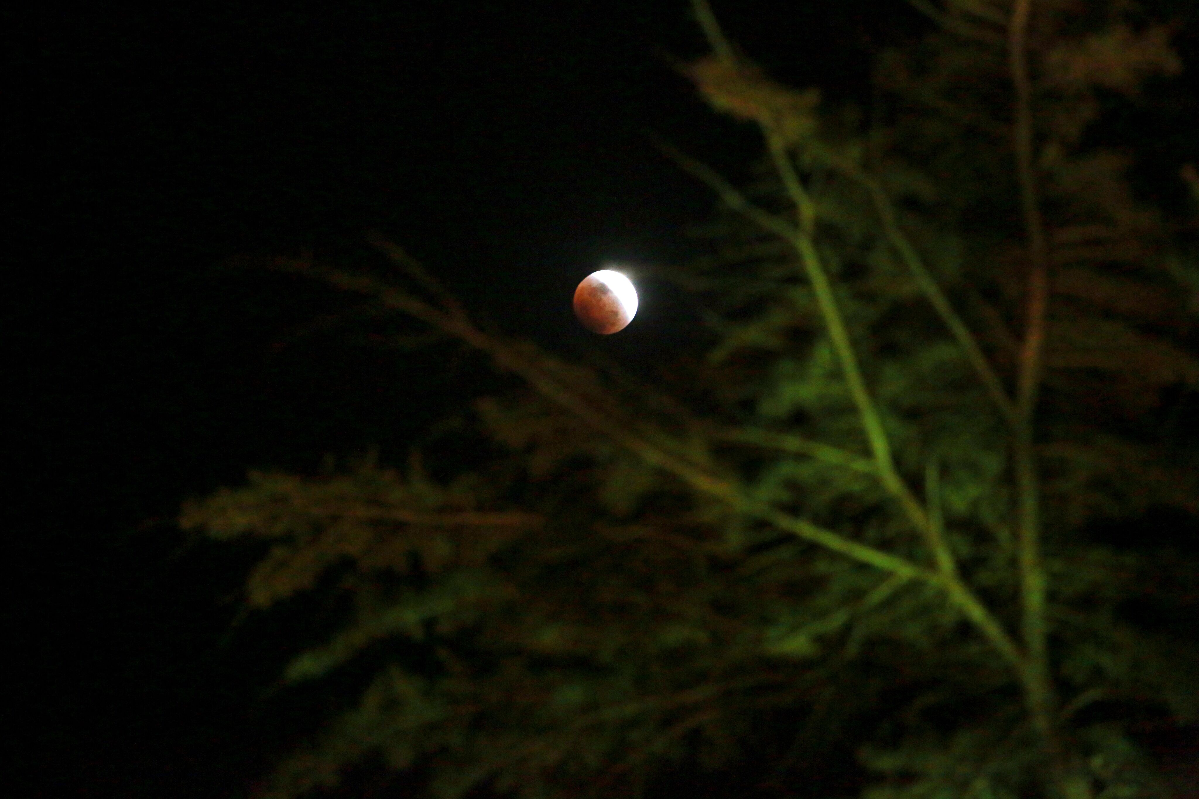 大明湖畔红月亮 市民深夜涌街头观百年难遇奇景