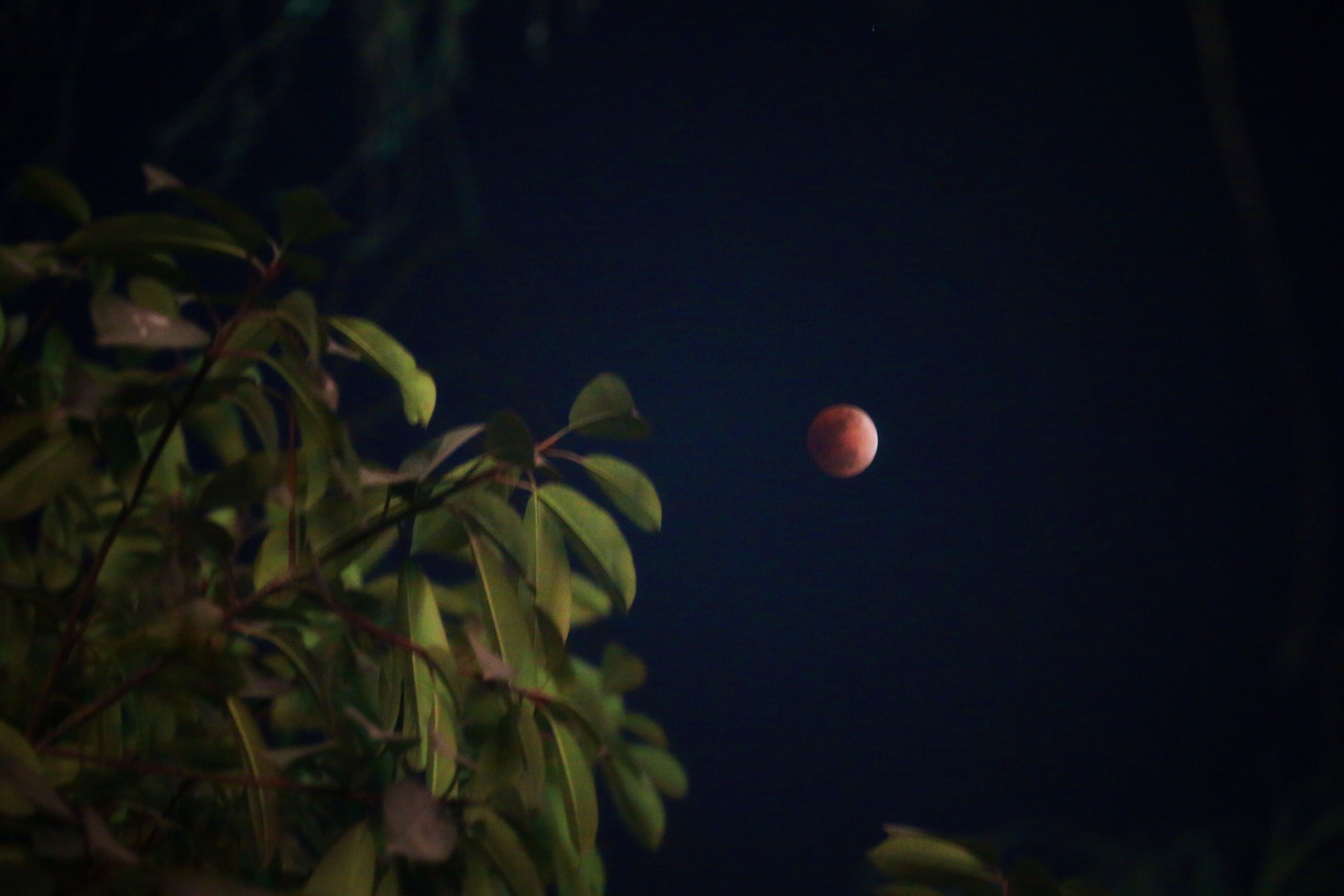 大明湖畔红月亮 市民深夜涌街头观百年难遇奇景