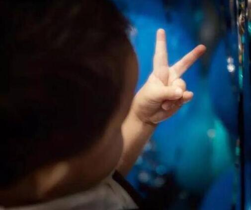 ١櫶Ϊ˼΢ûУΪγʧ