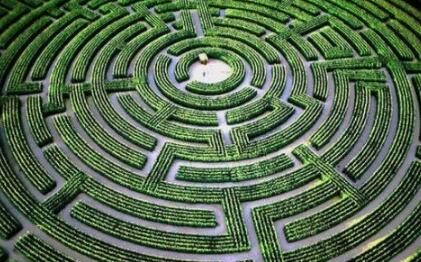 世界上最大的植物迷宫，从高空拍摄很是震撼，进去你就出不来