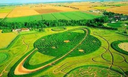 世界上最大的植物迷宫，从高空拍摄很是震撼，进去你就出不来