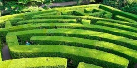 世界上最大的植物迷宫，从高空拍摄很是震撼，进去你就出不来