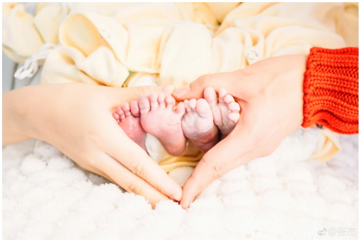 谢娜喜得双胞胎女儿张杰喜当爸 娱乐圈双胞胎扎堆