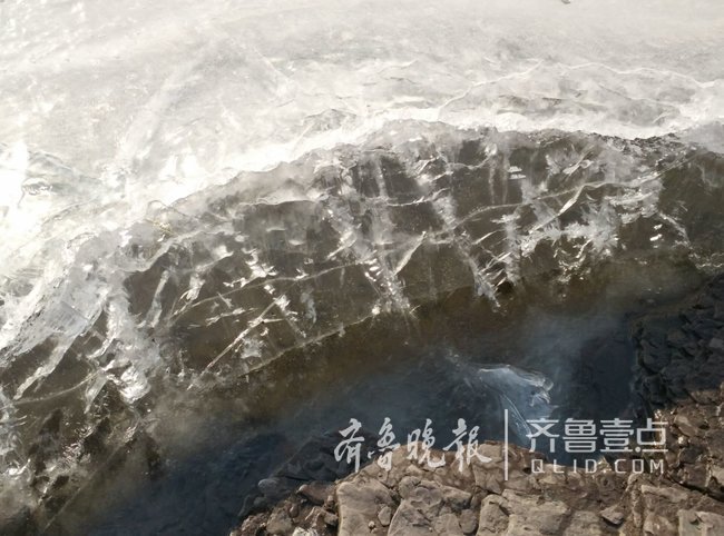 济南卧虎山水库湖面冰封 上千只野鸭冰面上围拢聚集甚是可怜