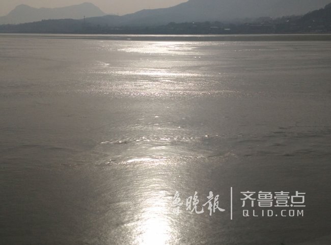 济南卧虎山水库湖面冰封 上千只野鸭冰面上围拢聚集甚是可怜