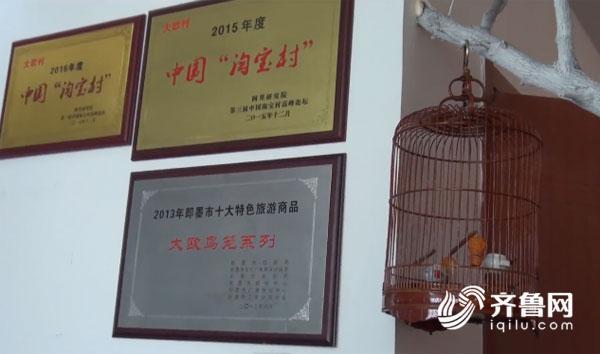 即墨500年“鸟笼村”上网 年销售2000多万元