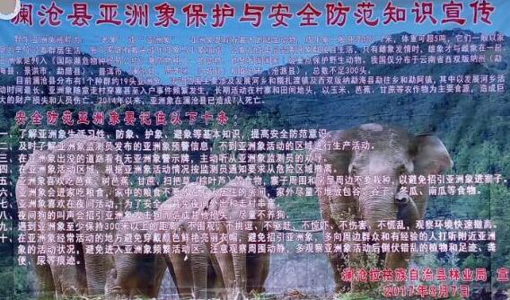浓雾惹祸!巡象员被野象围攻 两巡象员PK18头野象一人不幸殉职
