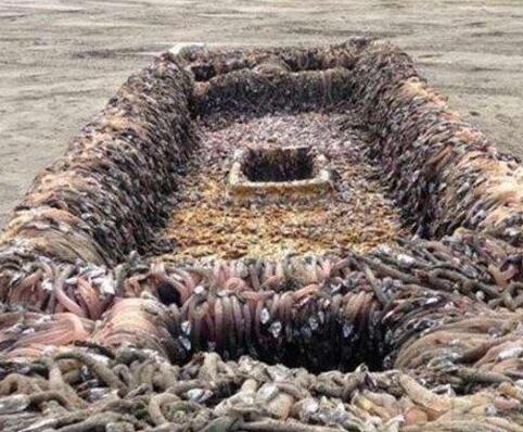 神秘小船装满怪异东西漂浮上岸,人们上船一探究竟，结果被吓个半死