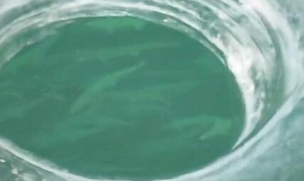 羡慕俄罗斯人的冰钓吗? 5分钟不到，就捉到条长30厘米的鱼！