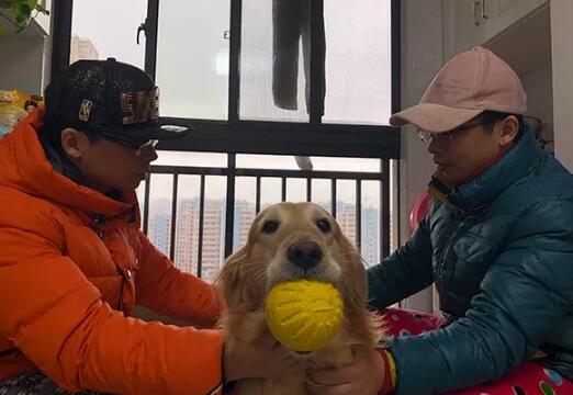 杭州双胞胎姐妹相亲双胞胎兄弟 最后谁也没看上谁