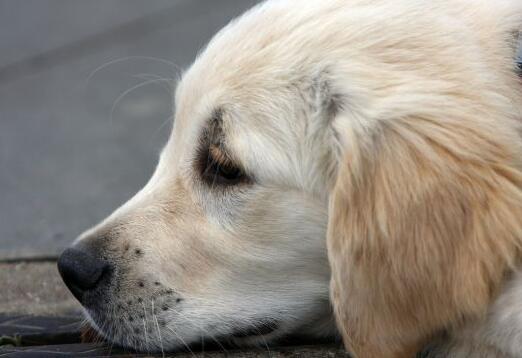 恒水中学连环虐杀第四章攻略_恒水中学连环虐杀第三章攻略_恒水中学连环虐杀结局
