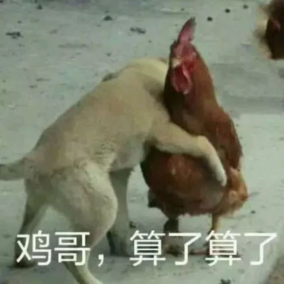 狗年已经到了？可能99%的人不知道：生肖从这天开始算……