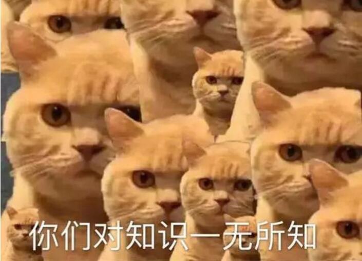 送命题！过年最扎心问题 七大姑八大姨提问题标准答案参考