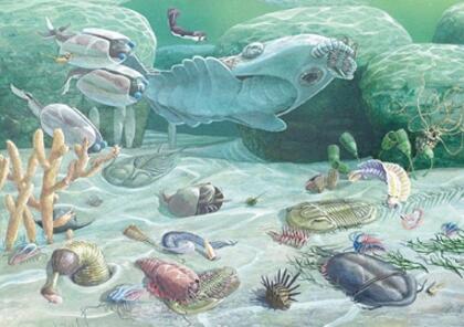 癌症竟与寒武纪大爆发有关？或是多细胞动物繁荣昌盛的副产品