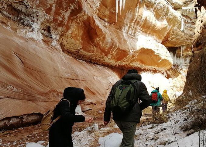 泪目!姐妹赏冰挂出意外致一死一伤 在外务工没想回乡见面竟成永别