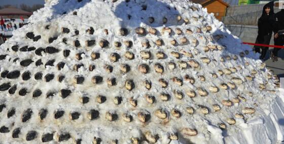 超吸睛!大鱼垒成雪塔保鲜场面壮观 共十层1000多条鱼约5000余斤