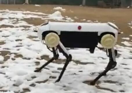 浙大发四足机器人 踏雪姿态优雅酷炫十足