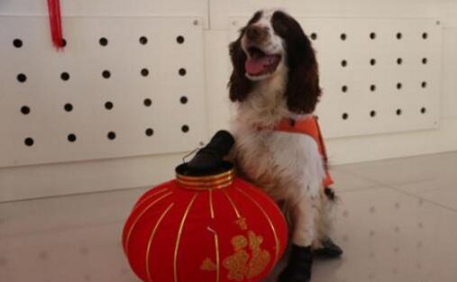 ũ�����꼴������ �½������Ѿ�Ȯ���Ȱ�����ף��