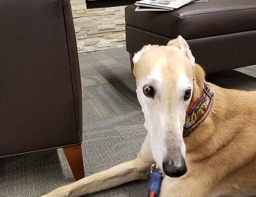 �ȿޣ�����Ȯ�������ߺ� ����ſ��ͼ���һ��������������ǰ��