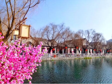 在百花洲,感受老济南的年味儿