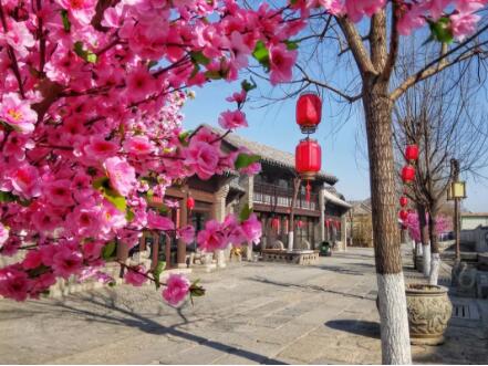 在百花洲,感受老济南的年味儿