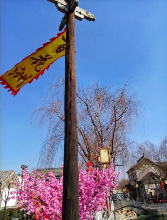 在百花洲,感受老济南的年味儿