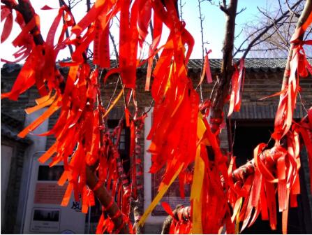 在百花洲,感受老济南的年味儿