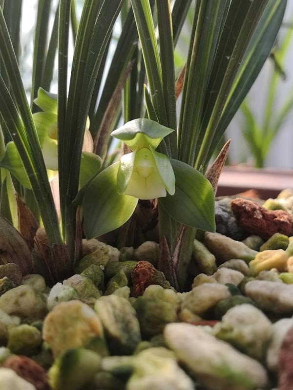 ��Ʒ��������Ǻ��ء�ʱ����ʮ���ٿ��� ȫ�����һ��