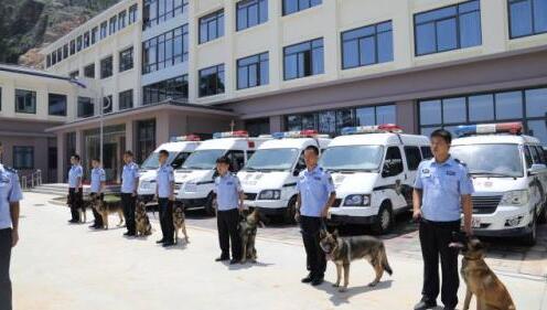 破案、搜毒、排爆…… 来看无所不能的“犬神探”