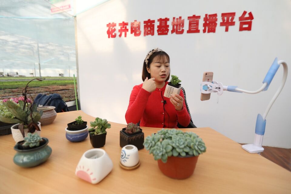 看直播就能在线买花 青州花卉创业园把鲜花卖到全国