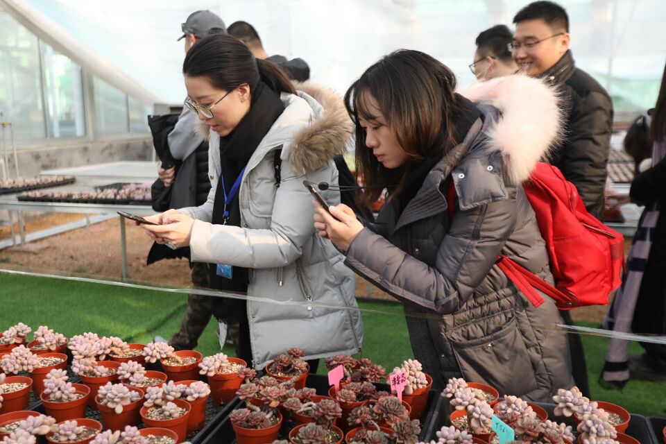 看直播就能在线买花 青州花卉创业园把鲜花卖到全国